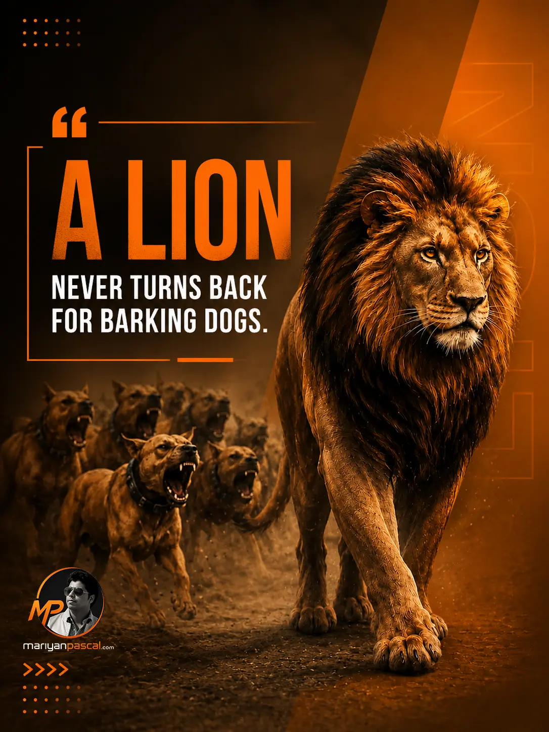 A lion never turns back for barking dogs
